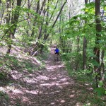 secondo punto panoramico
